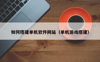 莱阳如何搭建单机软件网站（单机游戏搭建）